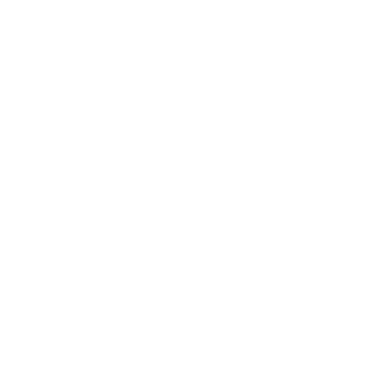 alpha plastering Logo